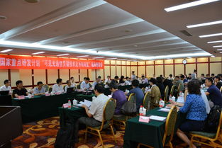 引领未来 中国科学院半导体研究所信息技术研发的探索与突破