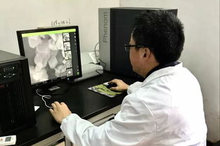 2019年度奉贤工匠技术服务评选投票正式启动